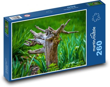 Wurzeln - Baum, Wiese - Puzzle - 260 Teile