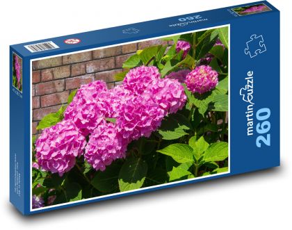 Pink hydrangeas - flower, garden - Puzzle 260 pieces, size 41x28.7 cm 