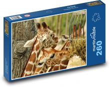 Žirafa - zoo, Afrika Puzzle 260 dílků - 41 x 28,7 cm