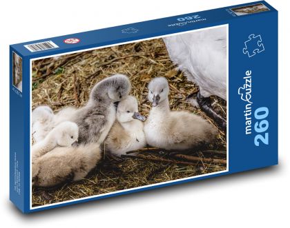 Schwäne - Junge, Tier - Puzzle - 260 Teile