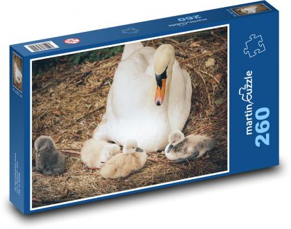 Labuť - mládě, pták - puzzle 260 dílků
