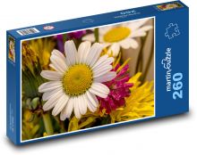 Gänseblümchen - weiße Blume, Garten Puzzle 260 Teile - 41 x28,7 cm