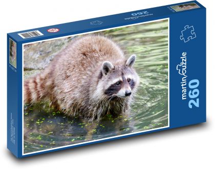 Waschbär - Bär, Wasser - Puzzle - 260 Teile