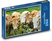 Krava - dobytok, zviera Puzzle 260 dielikov - 41 x 28,7 cm