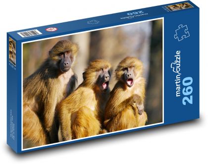 Pawian - małpy, zwierzęta - Puzzle 260 elementów, rozmiar 41x28,7 cm
