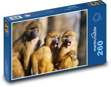 Pavian - Affen, Tiere - Puzzle - 260 Teile