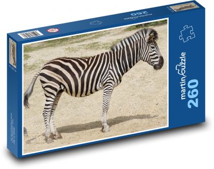 Zebra - zwierzę, Afryka - Puzzle 260 elementów, rozmiar 41x28,7 cm