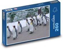 Tučňák - zoo, zvířata Puzzle 260 dílků - 41 x 28,7 cm