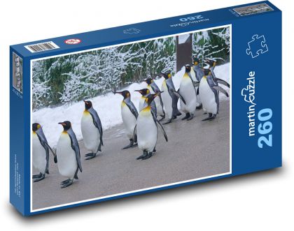 Tučňák - zoo, zvířata - Puzzle 260 dílků, rozměr 41x28,7 cm