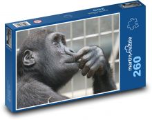 Monkey - zoo, primate Puzzle 260 pieces - 41 x 28.7 cm 