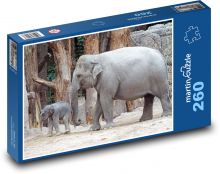 Slon - mládě, slůně Puzzle 260 dílků - 41 x 28,7 cm