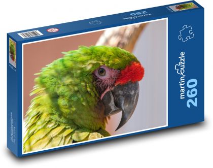 Ara - papoušek, pták - Puzzle 260 dílků, rozměr 41x28,7 cm