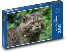 Divoká kočka - lesní zvíře, dravec Puzzle 260 dílků - 41 x 28,7 cm