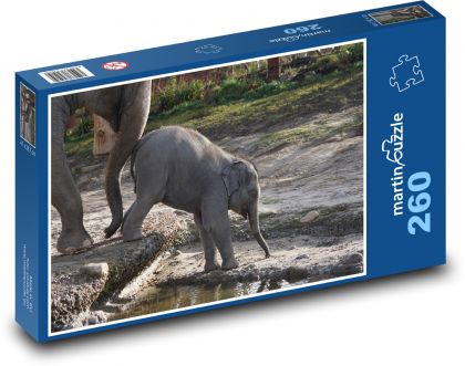 Słoń - młode, zoo - Puzzle 260 elementów, rozmiar 41x28,7 cm