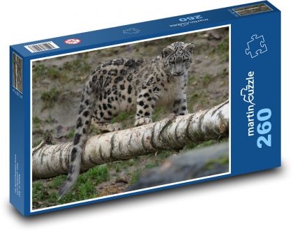 Leopard - dravec, šelma - Puzzle 260 dílků, rozměr 41x28,7 cm