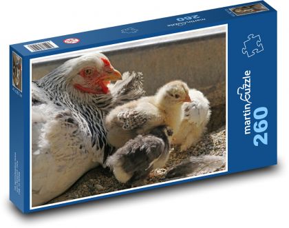 Kury - kurczak, drób - Puzzle 260 elementów, rozmiar 41x28,7 cm