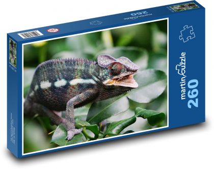 Chameleón - jašter, zviera - Puzzle 260 dielikov, rozmer 41x28,7 cm