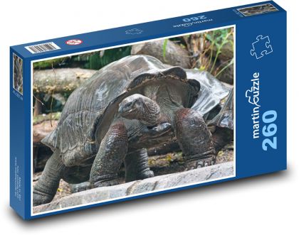 Želva obří - zvíře, zoo - Puzzle 260 dílků, rozměr 41x28,7 cm