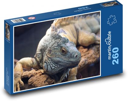 Iguana - jaszczurka, zoo - Puzzle 260 elementów, rozmiar 41x28,7 cm