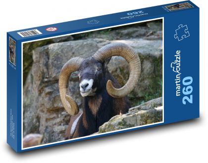 Mufflon - Schaf, Tier - Puzzle - 260 Teile