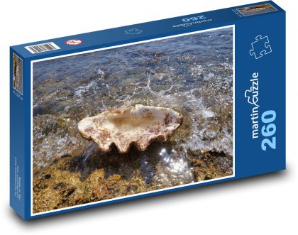 Riesenmuscheln - Strand, Meer - Puzzle - 260 Teile