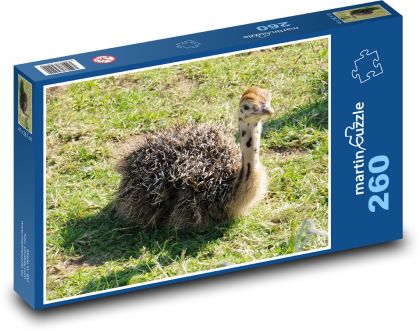 Pštros - farma, mládě - puzzle 260 dílků
