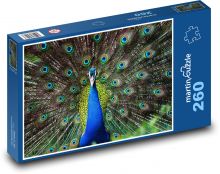 Paw - ptak, zwierzę Puzzle 260 elementów - 41x28,7 cm