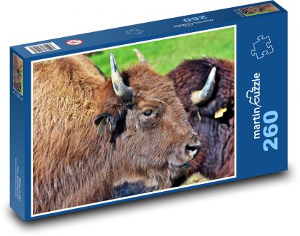 Bizón - zubor, zviera - Puzzle 260 dielikov, rozmer 41x28,7 cm