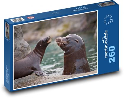Sea lion - aquatic animal, cub - Puzzle 260 pieces, size 41x28.7 cm 