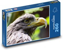 Adler - Raubtier, Vogel Puzzle 260 Teile - 41 x28,7 cm