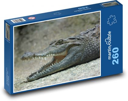 Krokodýl - ještěr, zuby - Puzzle 260 dílků, rozměr 41x28,7 cm