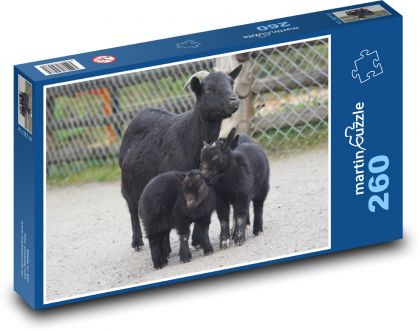 Trpasličia koza - domáce zviera - Puzzle 260 dielikov, rozmer 41x28,7 cm