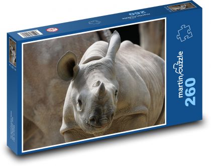 Nashorn - Jungtier, Zoo - Puzzle - 260 Teile
