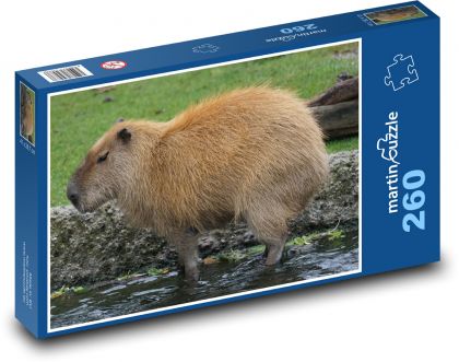 Kapibara - gryzoń, zwierzę - Puzzle 260 elementów, rozmiar 41x28,7 cm
