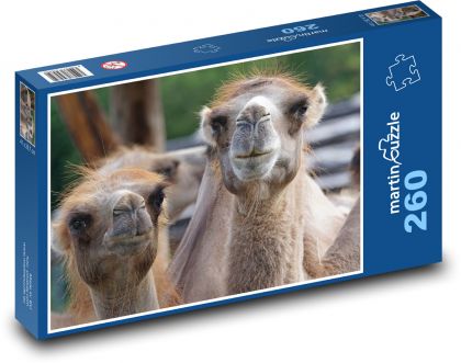 Kamel - Tier, Afrika - Puzzle - 260 Teile