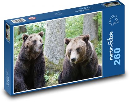 Bär - Zoo, Tier - Puzzle - 260 Teile