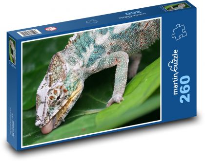 Chamelon - lizard, animal - Puzzle 260 pieces, size 41x28.7 cm 