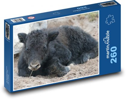 Yak - domáce zviera, teľa - Puzzle 260 dielikov, rozmer 41x28,7 cm
