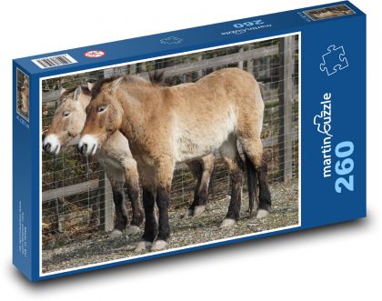 Koń Przewalskiego - dziki koń, ssak - Puzzle 260 elementów, rozmiar 41x28,7 cm