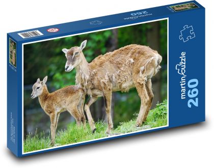 Muflon - cielę, młode - Puzzle 260 elementów, rozmiar 41x28,7 cm
