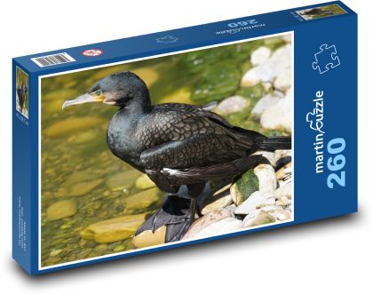 Kormoran - ptak wodny, zoo - Puzzle 260 elementów, rozmiar 41x28,7 cm