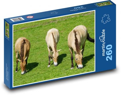 Przewalský kôň - divoké zviera - Puzzle 260 dielikov, rozmer 41x28,7 cm