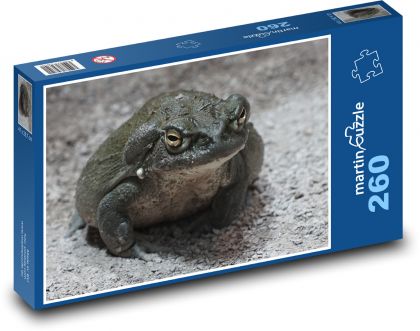 Ropucha - žaba, zviera - Puzzle 260 dielikov, rozmer 41x28,7 cm