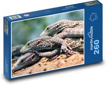 Varan - ještěr, plaz Puzzle 260 dílků - 41 x 28,7 cm