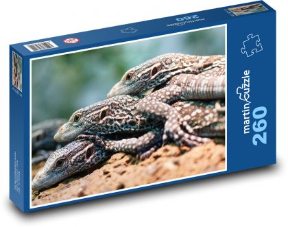 Varan - lizard, reptile - Puzzle 260 pieces, size 41x28.7 cm 