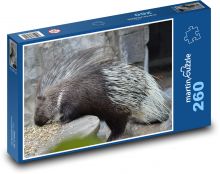 Dikobraz - hlodavec, zviera Puzzle 260 dielikov - 41 x 28,7 cm 