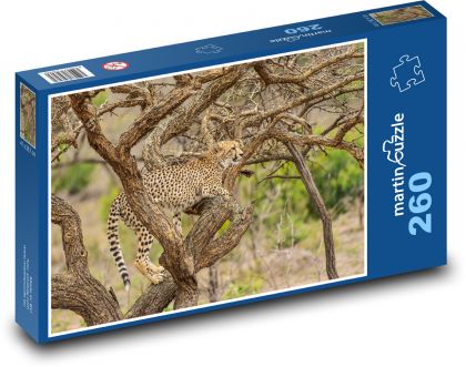 Gepard - safari, šelma - puzzle 260 dílků
