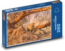Lev - Afrika, Safari Puzzle 260 dílků - 41 x 28,7 cm