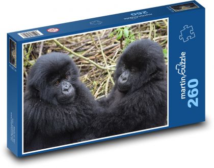 Gorilla - cub, animals - Puzzle 260 pieces, size 41x28.7 cm 