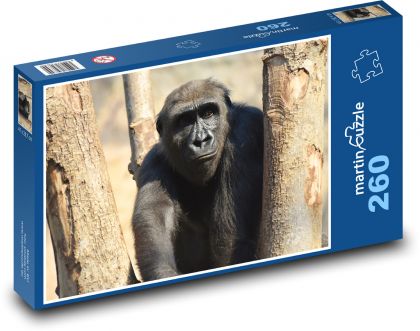 Gorila - zvíře, opice - Puzzle 260 dílků, rozměr 41x28,7 cm